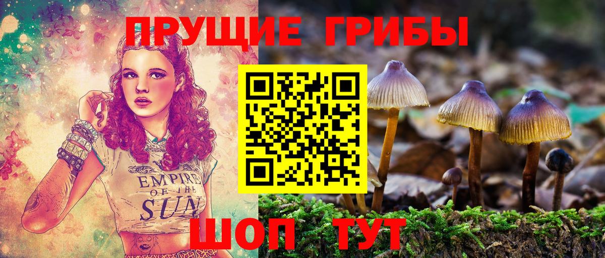 Псилоцибиновые грибы MAGIC MUSHROOMS Выкса