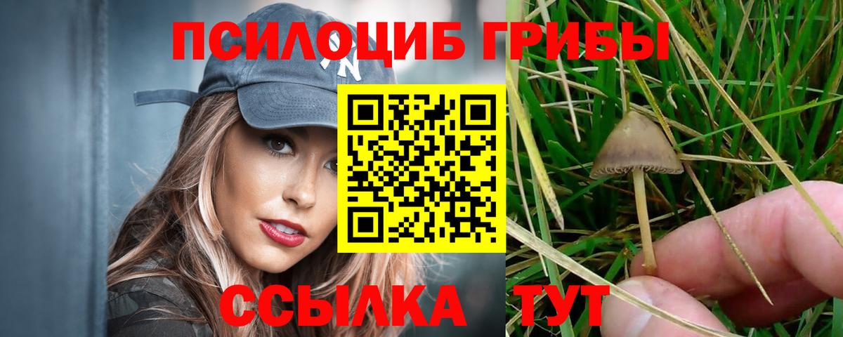 даркнет сайт  Галлюциногенные грибы Cubensis  Вход с VPN  Галлюциногенные грибы Magic Shrooms  Выкса 